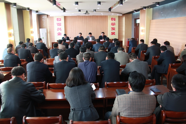 集团公司党委书记乔志猛在太平煤矿干部会议上指出：加强领导班子思想政治建设   创造有利于企业发展的良好环境