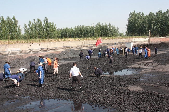 太平煤矿组织科室中层以上干部和党员赴煤场捡矸石