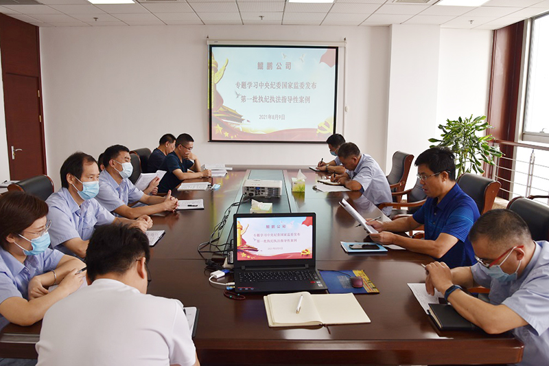 鲲鹏公司：专题学习中央纪委国家监委发布第一批执纪执法指导性案例图片.jpg