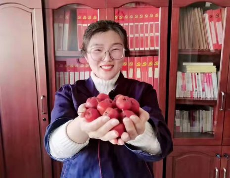 阳城煤电“红果飘香”丰收忙