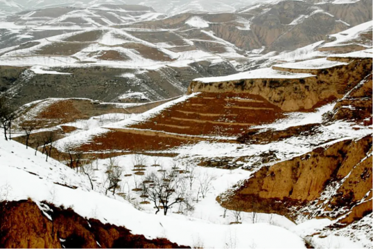 雪落万物暖人心