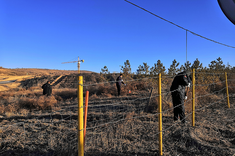 2021年12月22日朱家峁煤矿开展“清除杂草，消除火灾隐患”活动（相红伟摄）.jpg