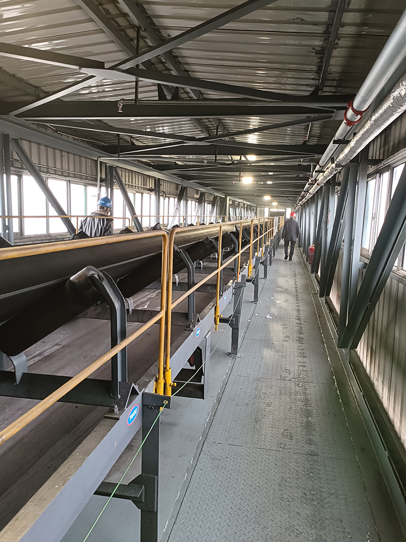 1648516618201216.jpg 022.jpg