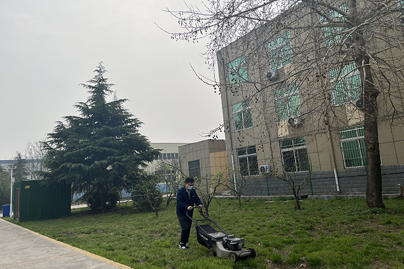 1648650826942030.jpg 修剪草坪.jpg