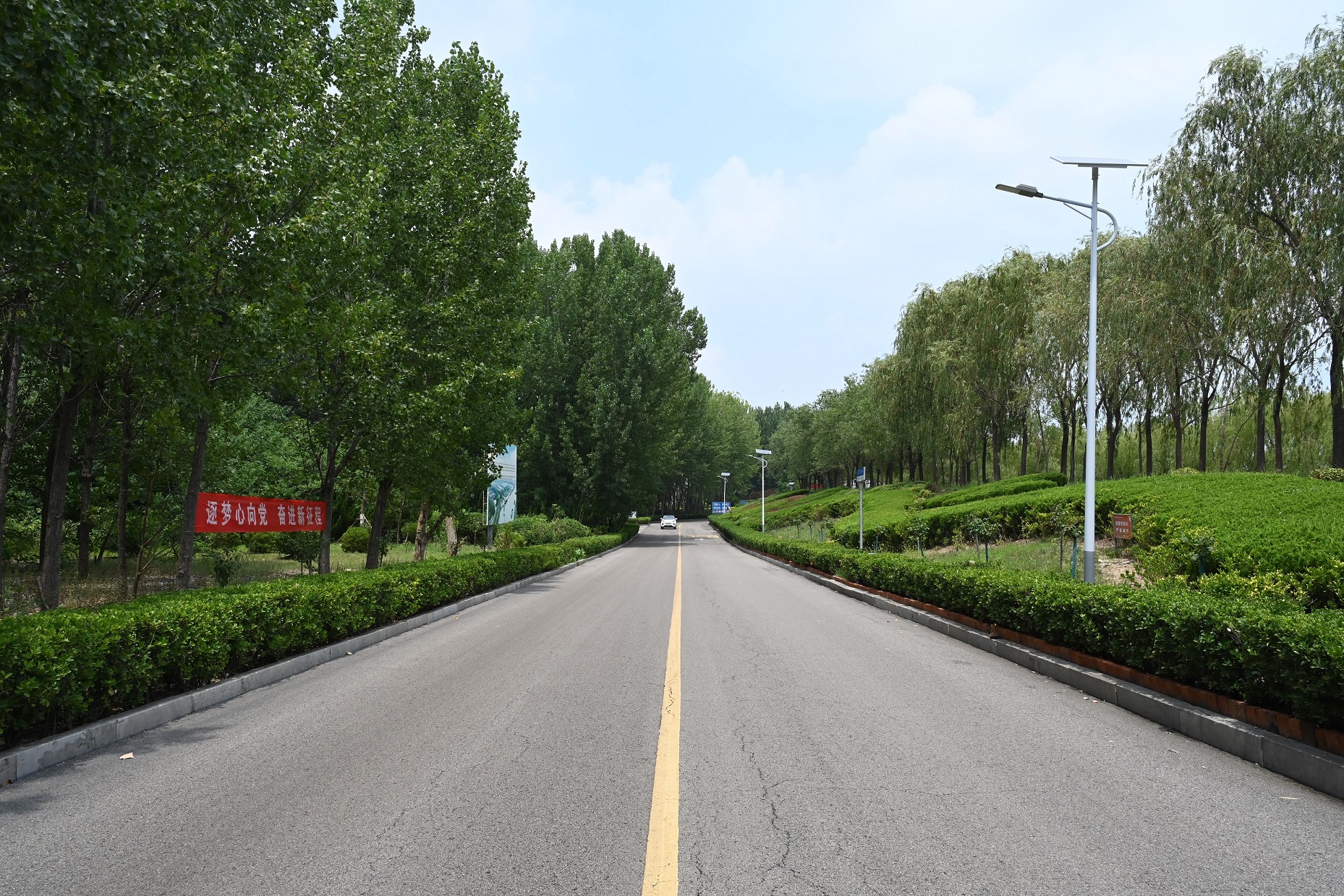 1689577511539638.jpg DSC_0236.JPG