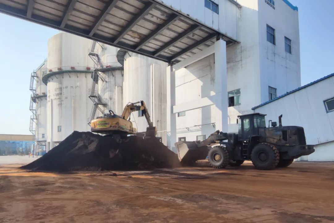 1709218445115919.jpg 640.jpg