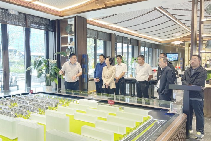 市政府领导到能源蓝城·春风仁里项目调研指导工作